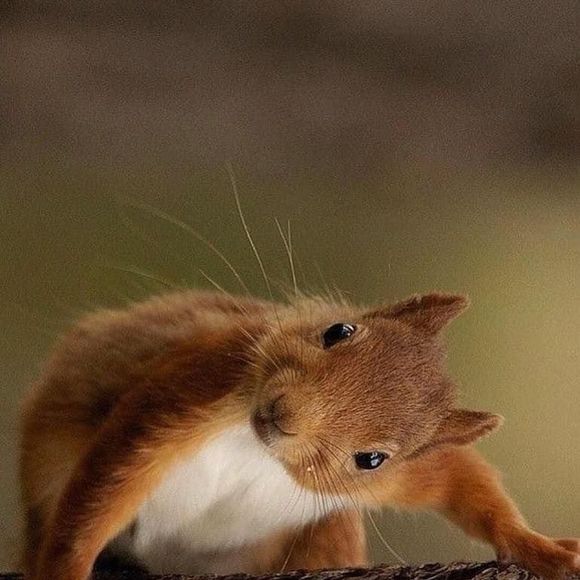 Meet your Posher, Erin - Picture 1 of 1